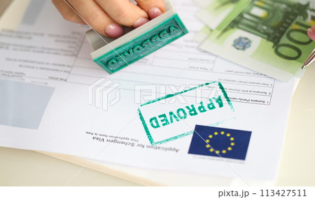 Approved EU visa application and cash euro banknotes 113427511