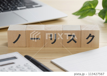 ノーリスクと書かれた積み木のブロック 113427567