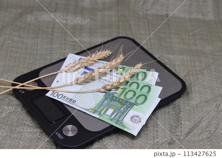 Dry ears on the scales nearby are banknotes, the global food crisis, grain exports, crop growth. 113427625