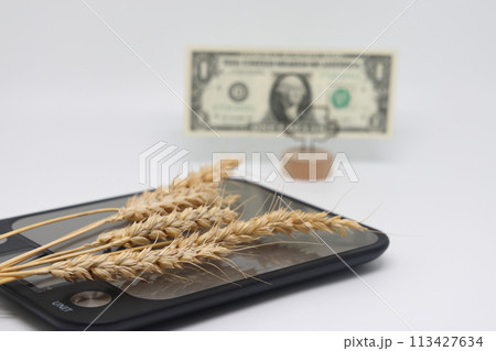 Dry ears on the scales nearby are banknotes, the global food crisis, grain exports, crop growth. 113427634