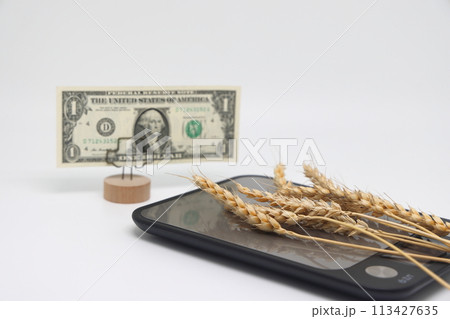 Butter in package and banknote on stand, world food crisis. 113427635