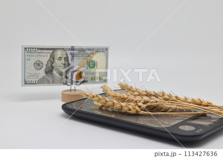 Dry ears on the scales nearby are banknotes, the global food crisis, grain exports, crop growth. 113427636
