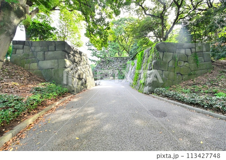 東御苑汐見坂の石垣と堀 113427748