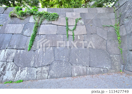 東御苑汐見坂の石垣と堀 東御苑汐見坂の石垣と堀 113427749