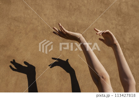 Beautiful and sensitive hands concept Beautiful and sensitive hands concept 113427818