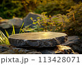 Close-up of a flat stone, rock podium in a natural forest flooded with sunlight. A tranquil stone setting surrounded by foliage and illuminated by forest. esg eco concept 113428071