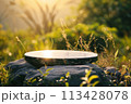 Textured stone podium, rock stand among green foliage and sun rays. Podium made of natural stone, rock in a natural setting in the open air with sunlight. esg concept 113428078