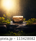 Golden, precious stone podium on wet rock in natural surroundings, freshness after waiting. Golden pedestal in the forest, outdoors in the sunlight 113428082