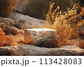 Rocky podium in nature in sunlight, atmospheric natural background, eco concept. A tranquil stone setting surrounded by foliage and sunlit. 113428083