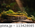 Flat stone pedestal in moss in natural forest, outdoors. Eco Background Concept. Rock podium overgrown with natural plants in the forest 113428085
