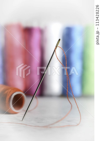 Close-up view of one needle with red thread 113428226