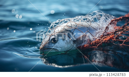 Regulations govern angling in designated marine fishing zones.AI Generated 113428783