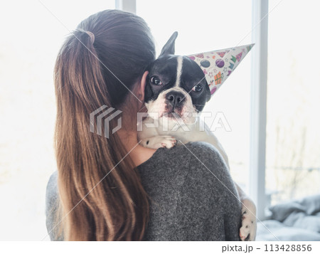Cute puppy lying on a woman's shoulder Cute puppy lying on a woman's shoulder 113428856