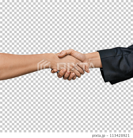 The hand of the businessman shaking hands 113428921