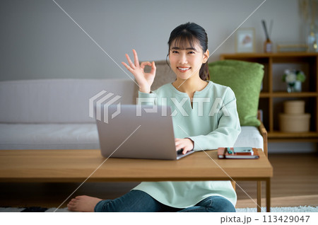 自宅でテレワークする若いビジネスウーマン 113429047