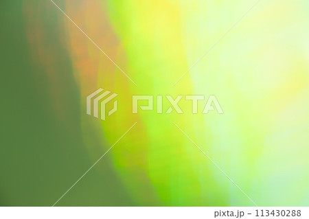 グリーンカラー系ミックスカラーファンタジーイメージ　(背景素材) 113430288