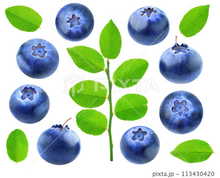 Collection of blueberries with leaves isolated on white 113430420