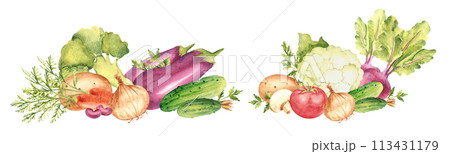 Set of vegetable compositions. Cauliflower, cucumbers and beet. Tomato and champignon, potato and parsley plant, onion. Broccoli, eggplant and carrot. Kidney beans. Hand drawn botanical watercolor 113431179