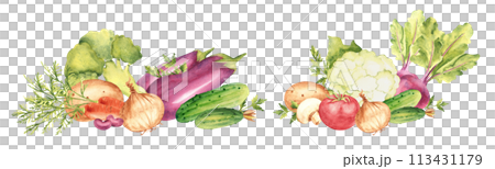 Set of vegetable compositions. Cauliflower, cucumbers and beet. Tomato and champignon, potato and parsley plant, onion. Broccoli, eggplant and carrot. Kidney beans. Hand drawn botanical watercolor 113431179