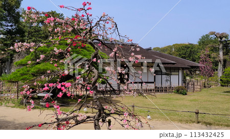 広島縮景園1 113432425