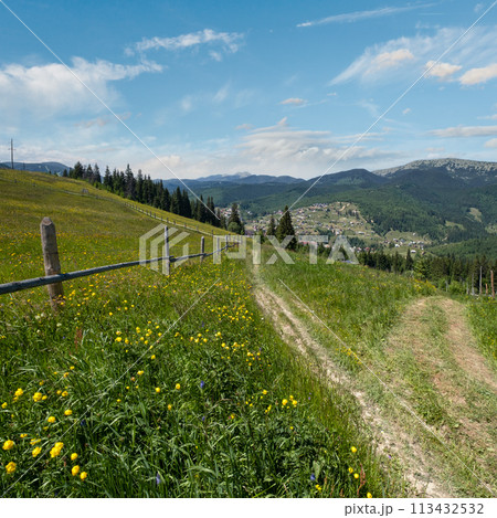 Summer Gorgany massiv mountains scenery view from Sevenei hill (near Yablunytsia pass, Carpathians, Ukraine.) 113432532