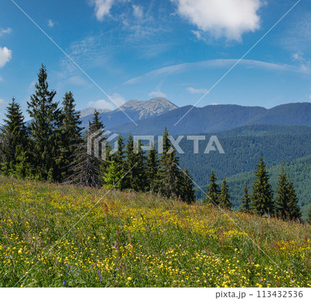Summer Gorgany massiv mountains scenery view from Sevenei hill (near Yablunytsia pass, Carpathians, Ukraine.) 113432536