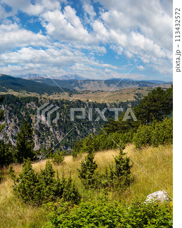 Summer Tara Canyon in mountain Durmitor National Park, Montenegro Summer Tara Canyon in mountain Durmitor National Park, Montenegro 113432572