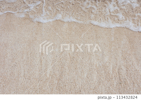 波打ち際 113432824