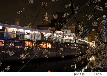 夜桜とハーモニカ横丁 113432922