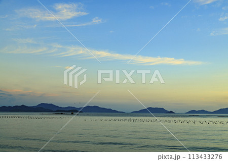 牡蠣筏並ぶ瀬戸内の夕焼け 113433276