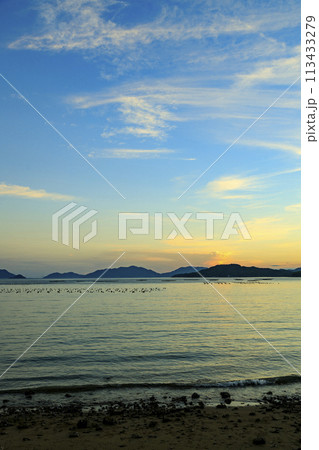 牡蠣筏並ぶ瀬戸内の夕焼け 牡蠣筏並ぶ瀬戸内の夕焼け 113433279