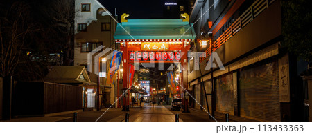 「東京都」夜の浅草寺 奥山門 113433363