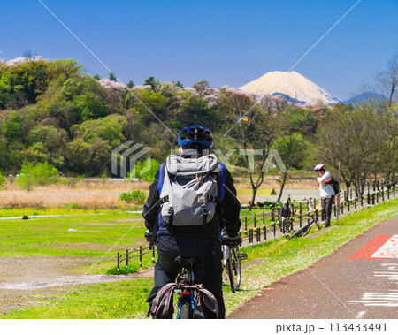 富士山を望む多摩川サイクリングロード　春景 113433491