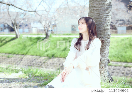 桜の下で座る女性 桜の下で座る女性 113434602