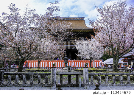 花咲く蔵王堂 113434679