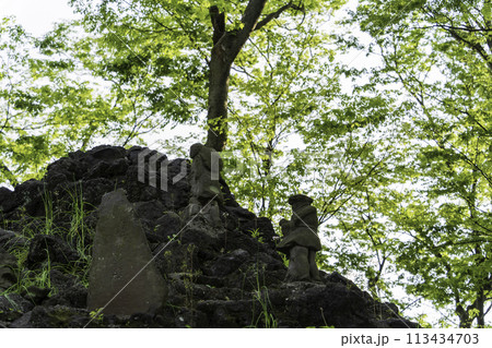 清瀧神社の富士塚 清瀧神社の富士塚 113434703