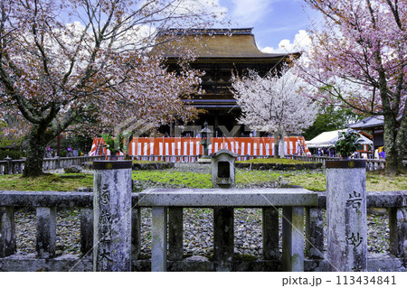 春の蔵王堂1 春の蔵王堂1 113434841