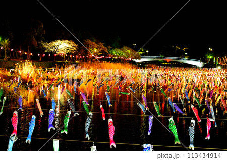 ライトアップされた夜桜と鯉のぼり 113434914