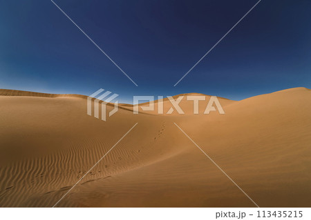 モロッコ南部ムハミド・エル・ギズランのサハラ砂漠 モロッコ南部ムハミド・エル・ギズランのサハラ砂漠 113435215