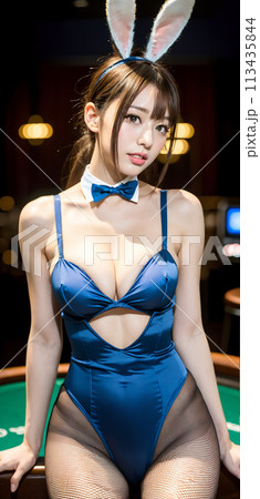 カジノのバニーガール 113435844