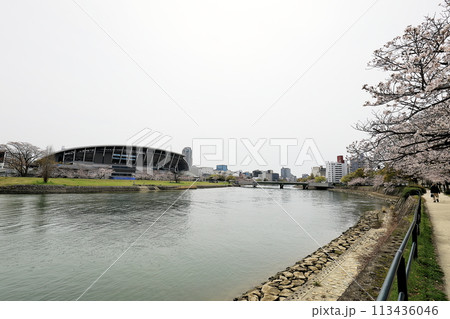 エディオンピースウイング広島 113436046