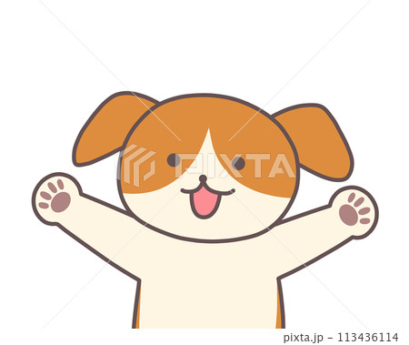 笑顔で両手を上げる犬 笑顔で両手を上げる犬 113436114