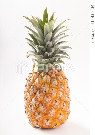 台湾パイン　 113436134