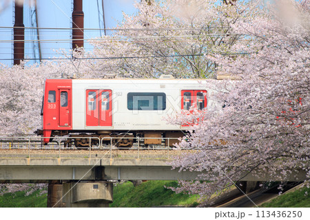 瑞梅寺川の桜と303系電車(JR九州) 瑞梅寺川の桜と303系電車(JR九州) 113436250