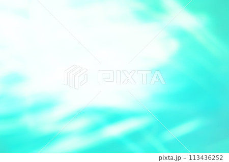 ライトグリーンカラー系動きのあるイメージ　(背景素材) 113436252