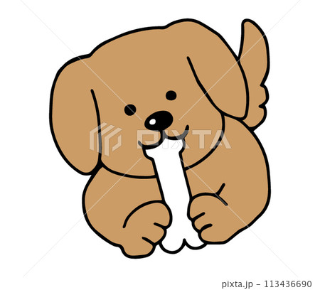 骨のおもちゃを齧る犬 113436690
