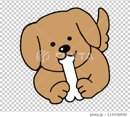 骨のおもちゃを齧る犬 113436690