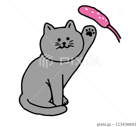 猫じゃらしで遊ぶ猫 113436691