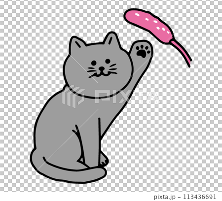 猫じゃらしで遊ぶ猫 113436691