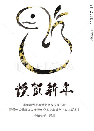 年賀状 2025年 ヘビデザイン 10枚セット 蛇 巳 干支 私製 年賀状 2025年 ヘビデザイン 10枚セット 蛇 巳 干支 私製 干支